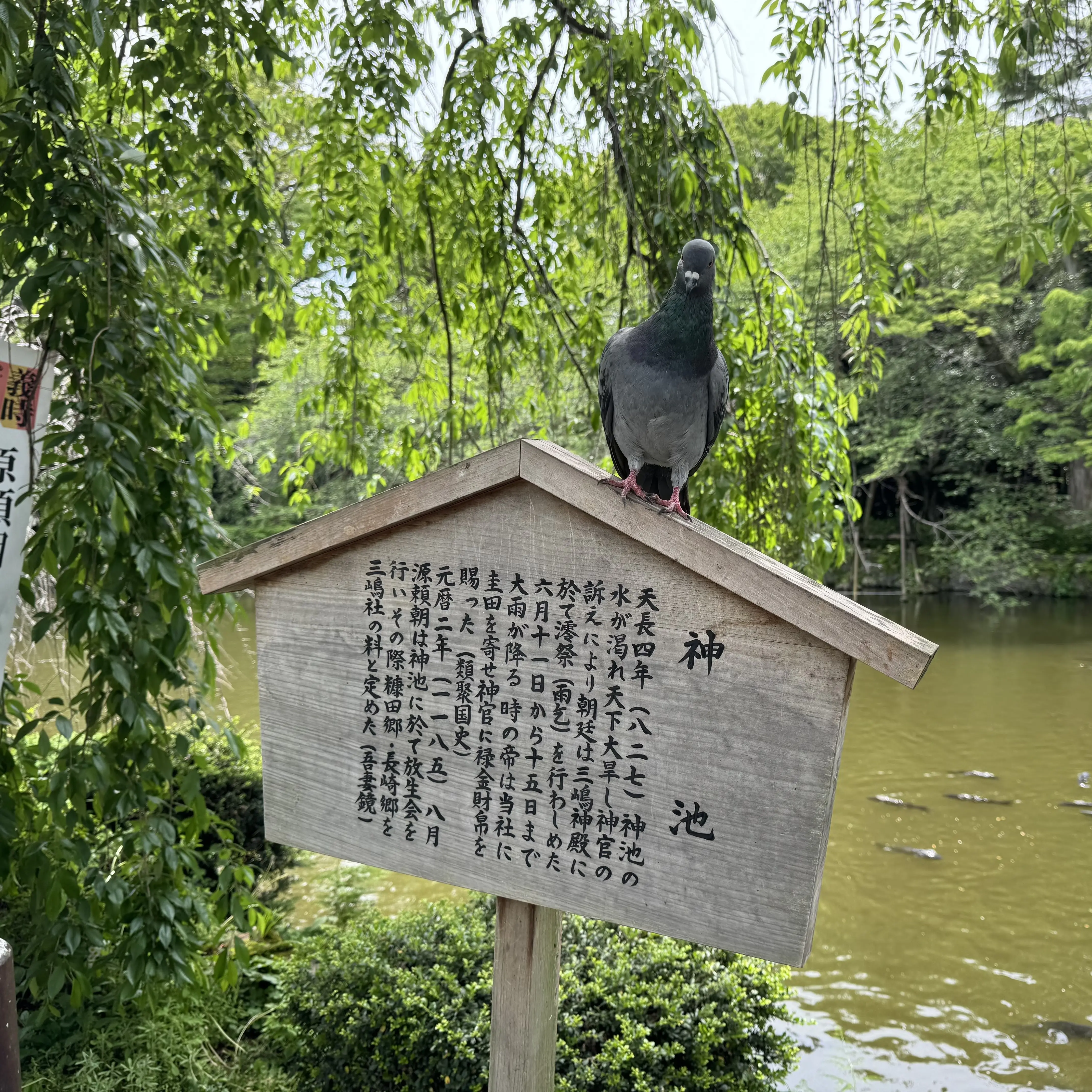 Masaki Haga